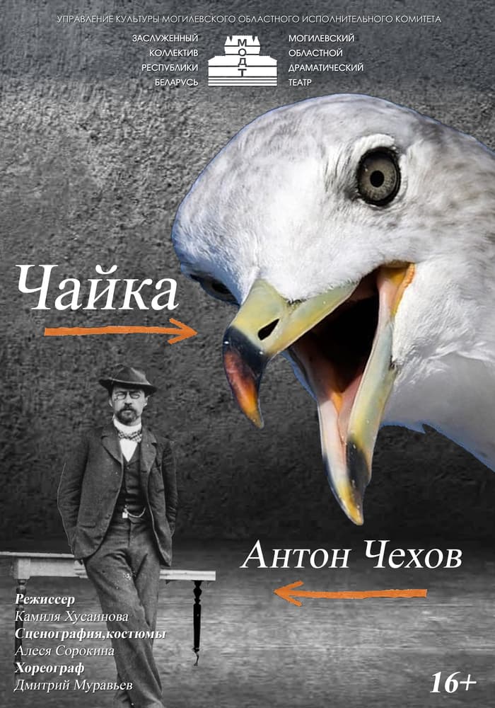 Постер: Чайка 16+