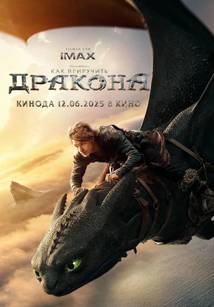 Постер: Как приручить дракона 6+ 2D